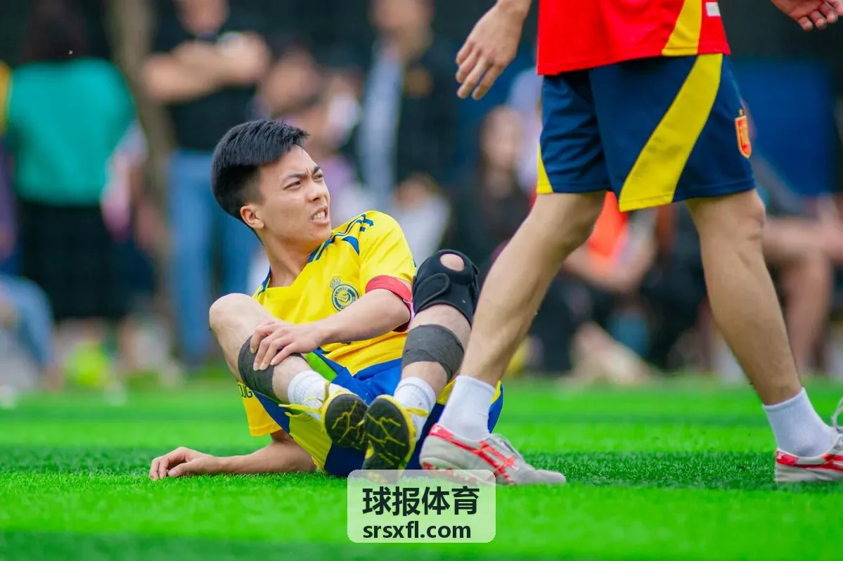 球报体育欧洲杯专题